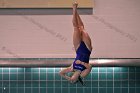 Women's Diving  Wheaton College Women’s Diving vs Mount Holyoke College. - Photo by Keith Nordstrom : Wheaton, Swimming & Diving